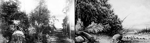 c_hist1 Behind L.A. Hamilton's campsite on the southside of False Creek City of Vancouver, Dist P35, photographer L.A.Hamilton